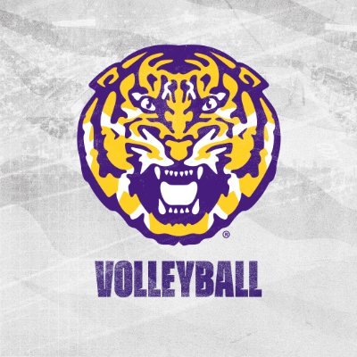lsuvolleyball's profile picture
