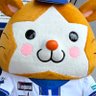 🌟Lan🌟's profile picture