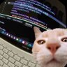 Reeboot_to_init5 的头像