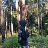 Jak 的头像