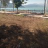 M profil fotoğrafı