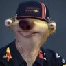 Profilbild von Maxver33tappen