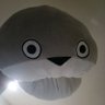 陽炎's profile picture
