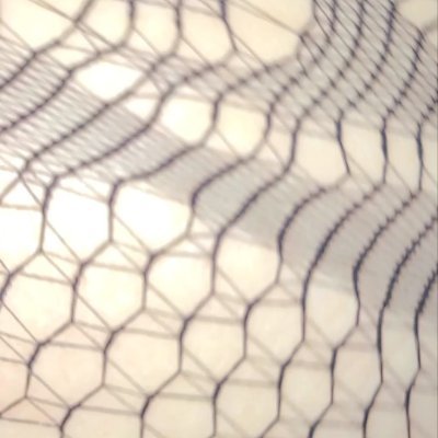 ffunswitch764's profile picture