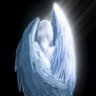 sanzubtw's profile picture