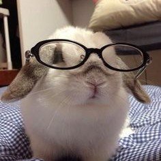 봐's profile picture