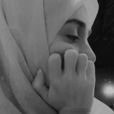 PAlhashemi's profile picture