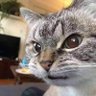 sa's profile picture