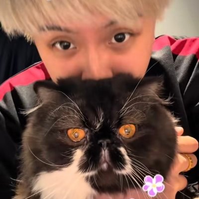 Beautiful miracles for TEW โจ๐ค's profile picture