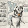 Nomi/T-REX(mainent arc)'s profile picture
