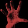 Z's profile picture