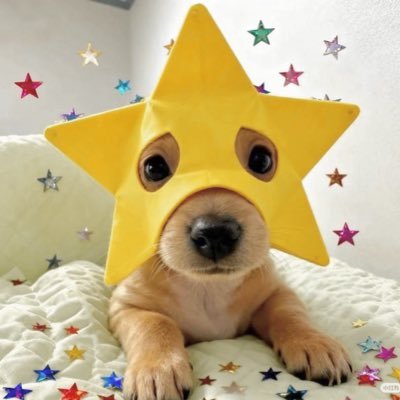 ⭐️'s profile picture