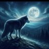 Mahmoud Eltayeb's profile picture