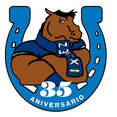 KolectivoSur91's profile picture