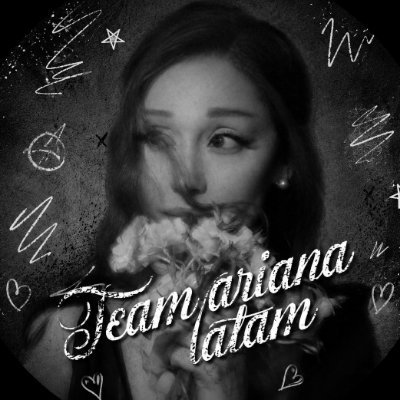 Team Ariana Latam ꕤ's profile picture