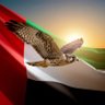 ياسر العامري 🇦🇪 profil fotoğrafı