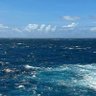 D 💙☔'s profile picture