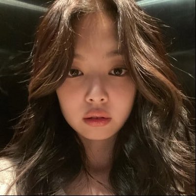 nova's profile picture