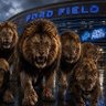 angryogre46 🦁🦁🦁 的头像