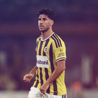 fenergozdee's profile picture
