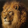 Johannes Leijona's profile picture