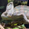 じゃっくバウアー profil fotoğrafı