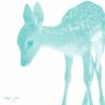 𓏲ּ𝄢 的头像