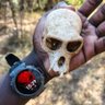 Papito Mbala's profile picture