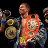 Gennady Gennadyevich Golovkin 的头像