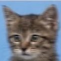 9DJHe3CUFh29674's profile picture