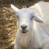 Noah's profile picture