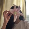 ᵂ's profile picture
