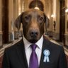 Profilbild von El Lic.Pichicho 🇦🇷