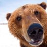 Фото профиля cubbybear17