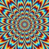 Z4 profil fotoğrafı