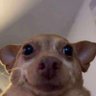 Profilbild von Itzme