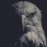 Thalex's profile picture