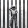 Junito Torres's profile picture