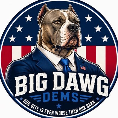 RachelBitecofer's profile picture
