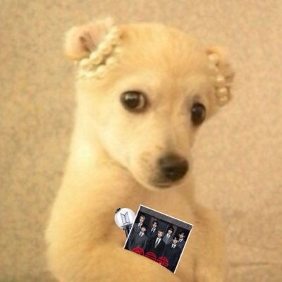 소금's profile picture