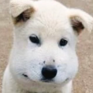 이수히's profile picture