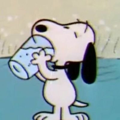 cabo_lexin's profile picture