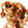 PONY's profile picture