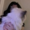 Profilbild von S