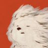 ᵖˡˢ พี่แบรี่🐻‍❄️ྀིྀ's profile picture