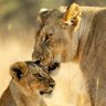 Profilbild von NatureLove55