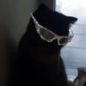 1's profile picture