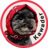 Profilbild von u_kariflower_