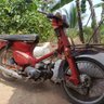 sugantara's profile picture