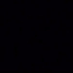 LifeOfAssyrian's profile picture